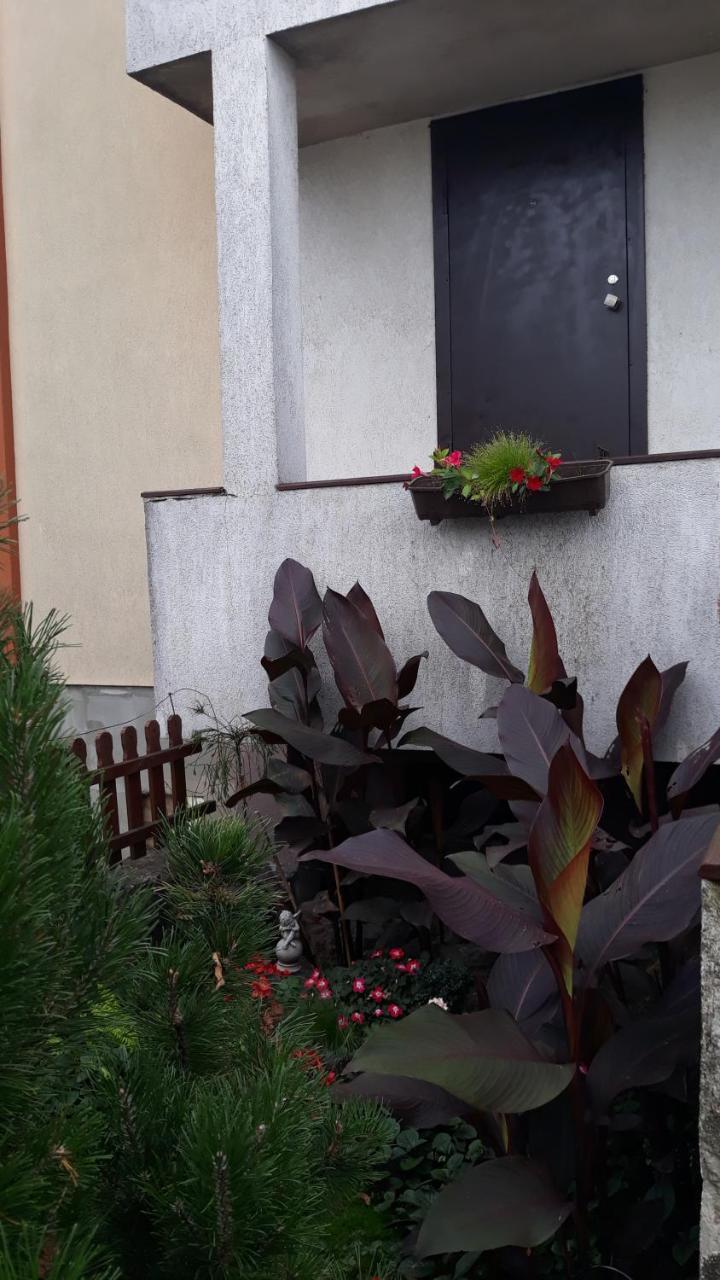 Sauliaus Apartamentai Panevėžys Eksteriør bilde